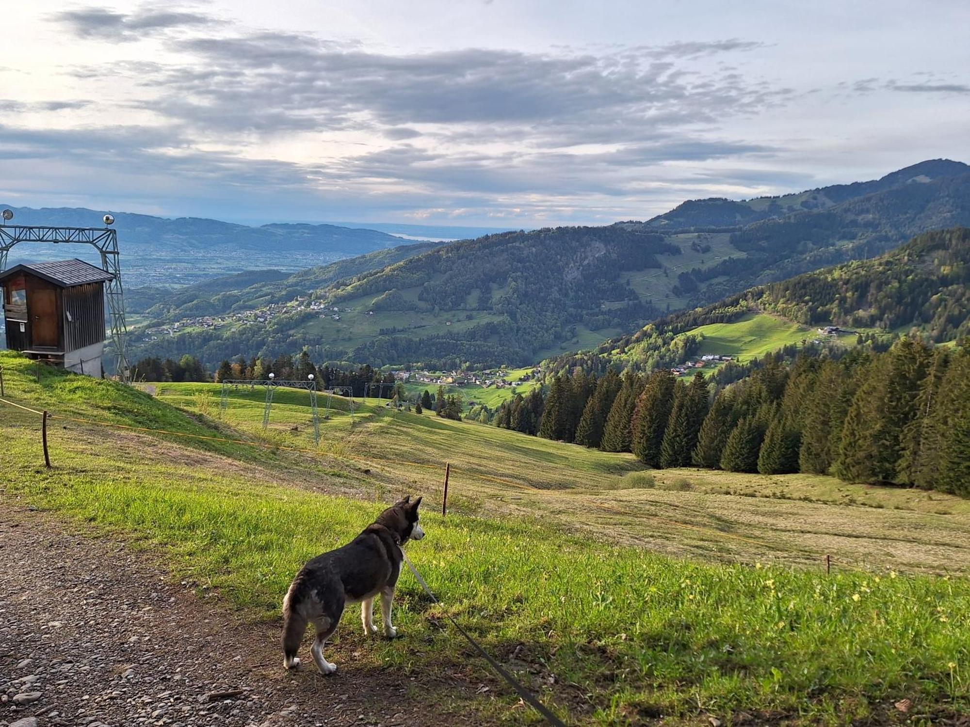 Wohnung Rheintal Im Alpenvorland Batschuns Exterior foto